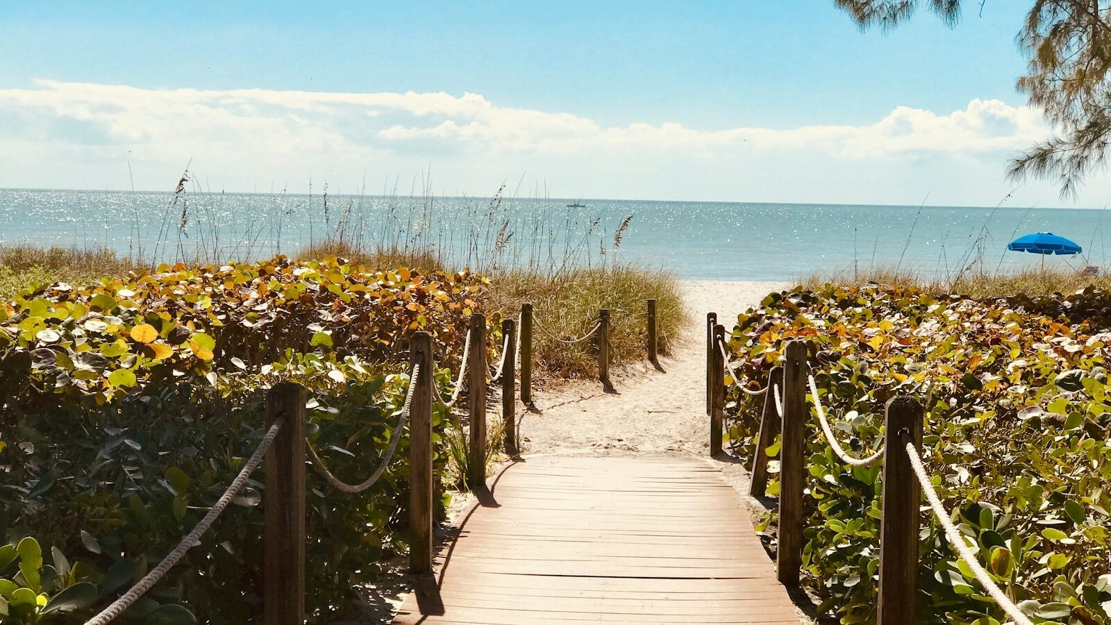 Anna Maria Island: A Newcomer's Guide to Bradenton's Beaches