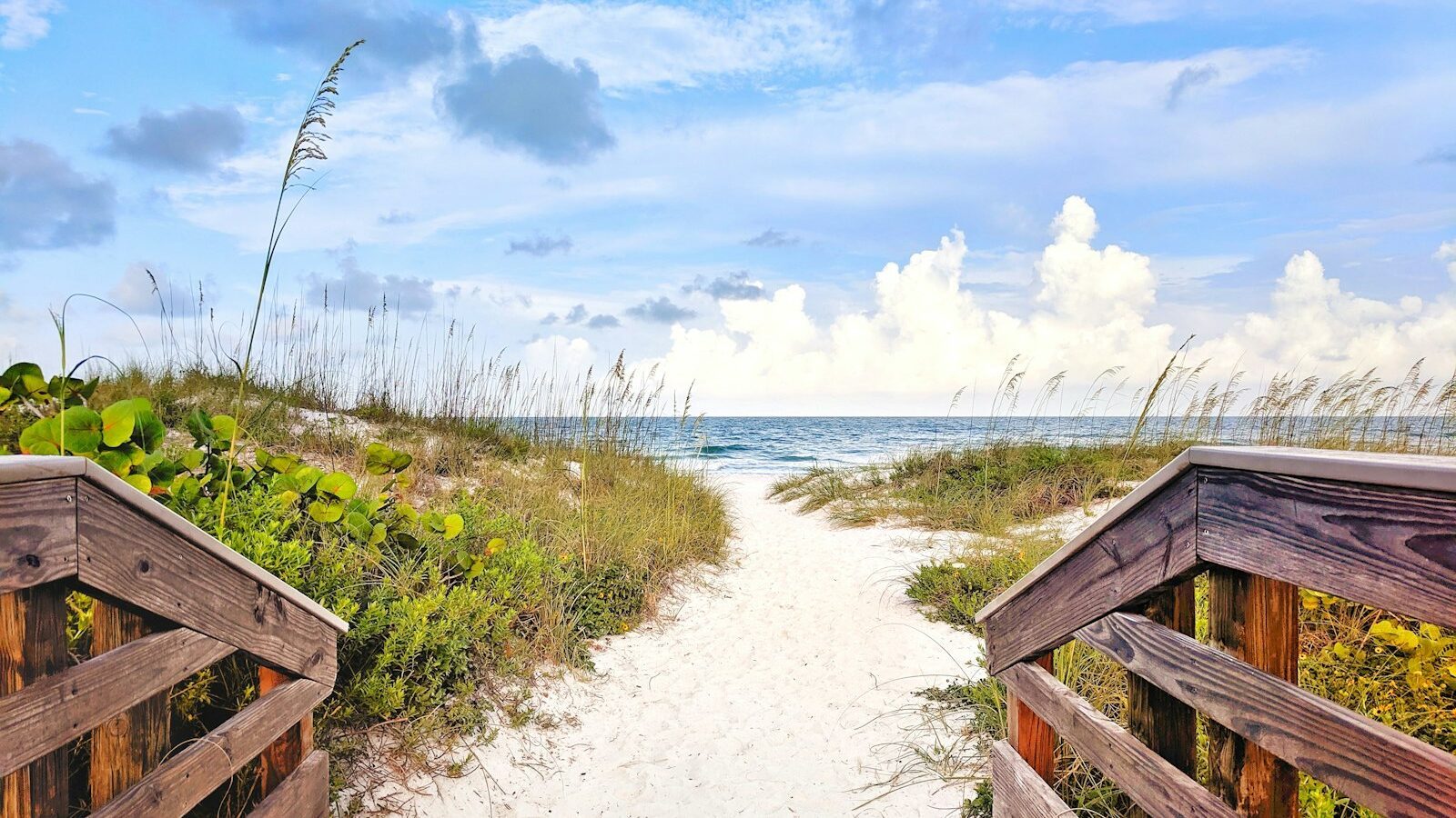 Moving to Sarasota from California: A Practical Guide