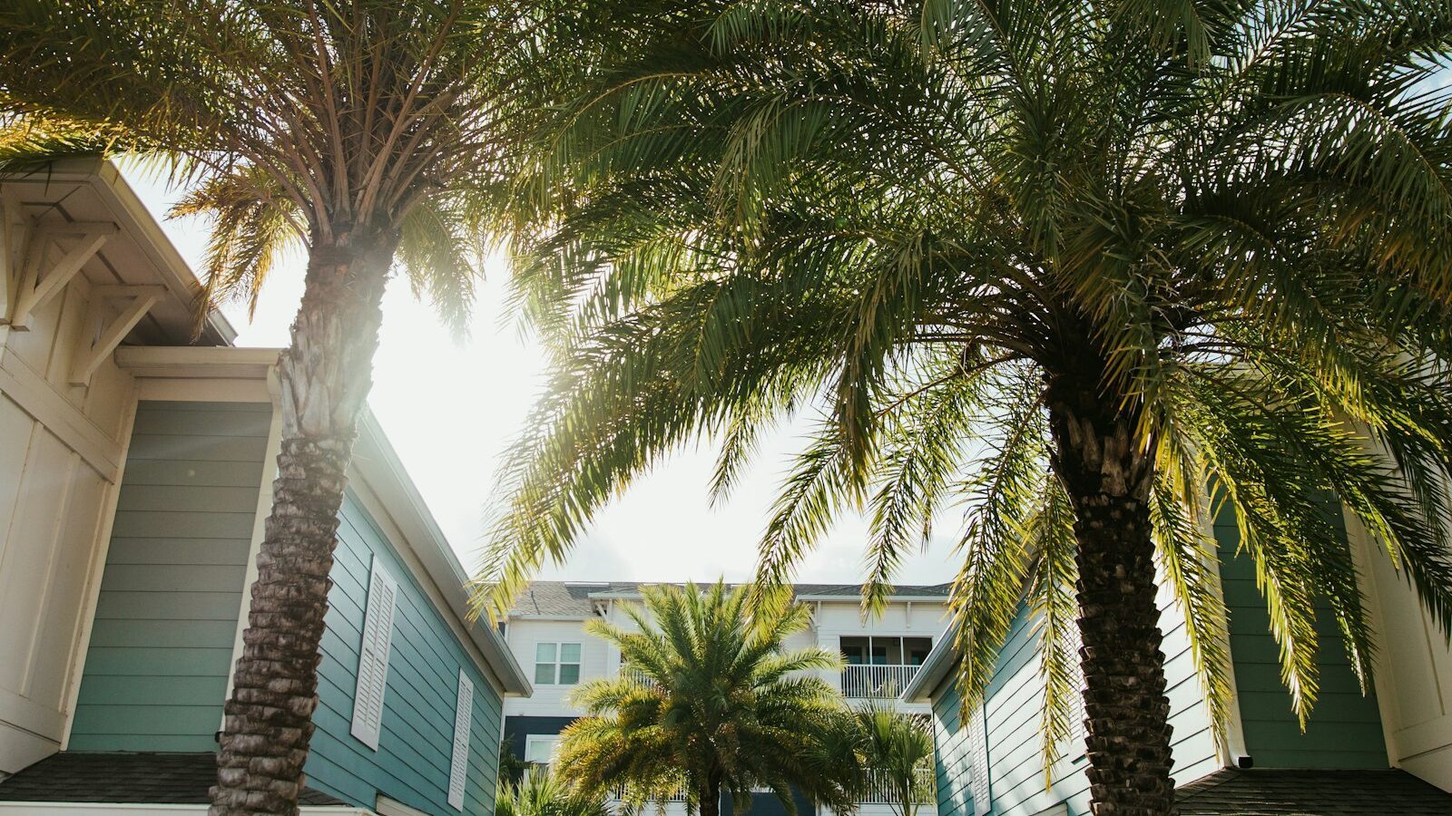 What Is a CDD Fee in Florida? A Buyer's Guide