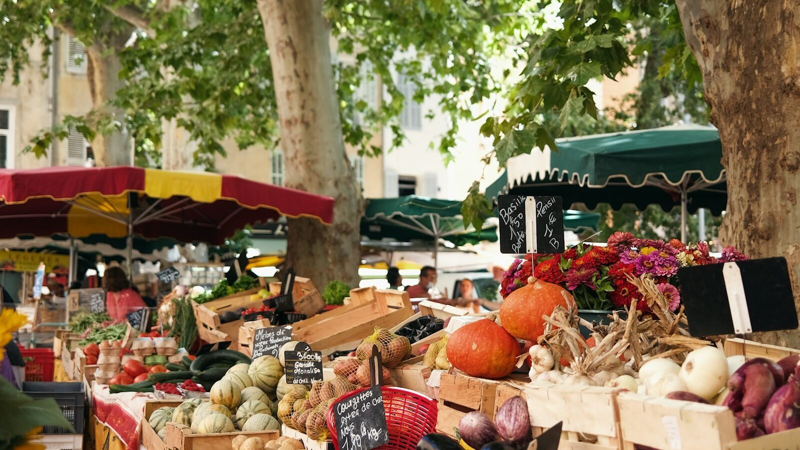 Farmers Markets and Local Food in the Sarasota Area