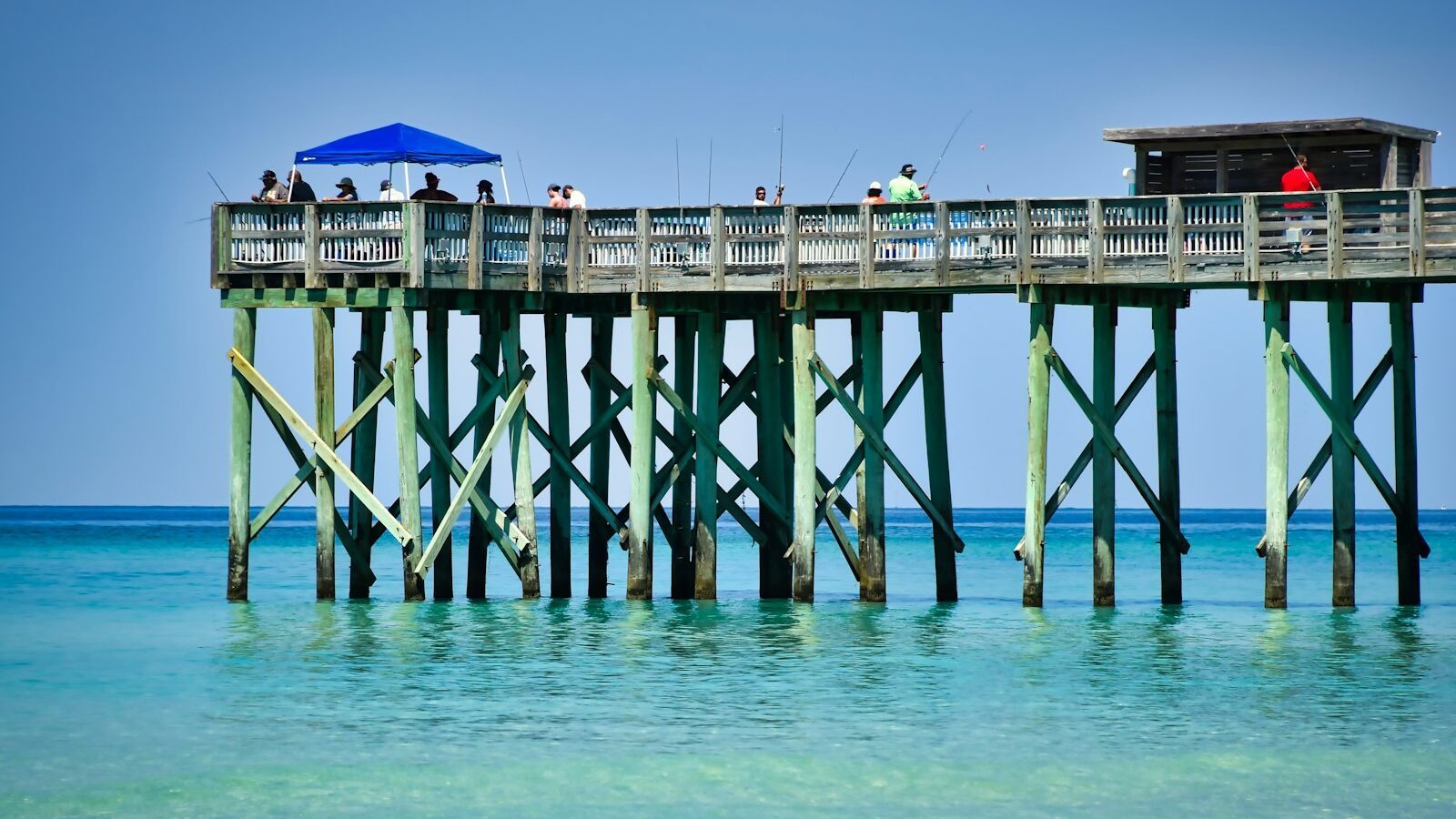 Fishing in the Sarasota Area: A Newcomer's Guide