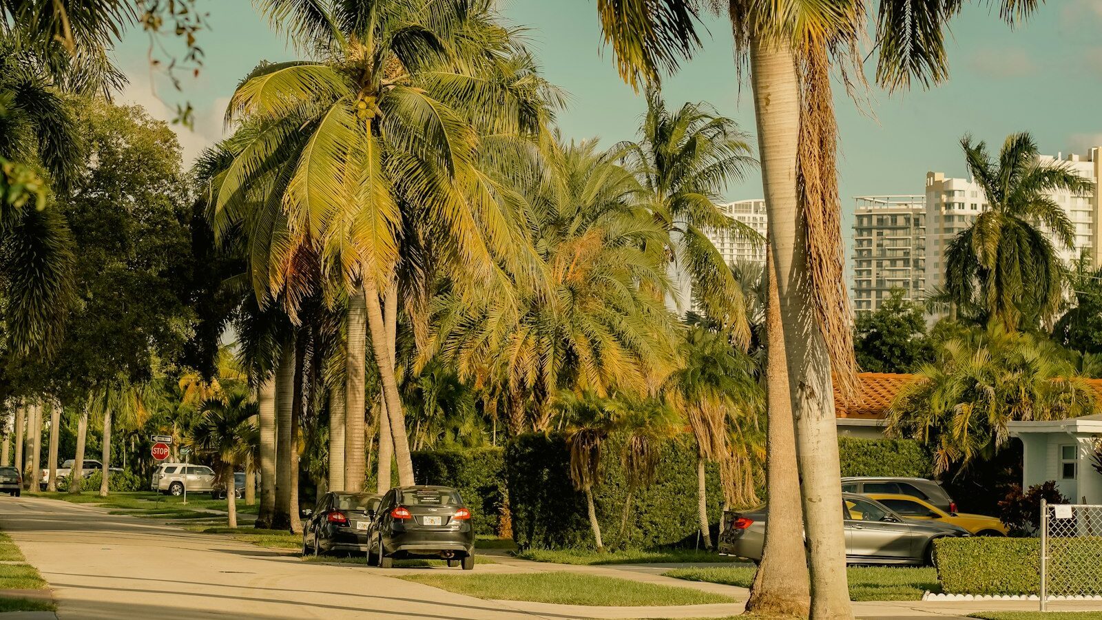 HOAs and Deed Restrictions in Florida: A Buyer's Guide