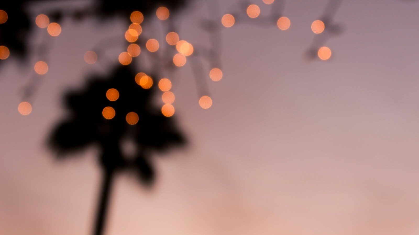 Christmas in Sarasota: The Holidays Without Winter