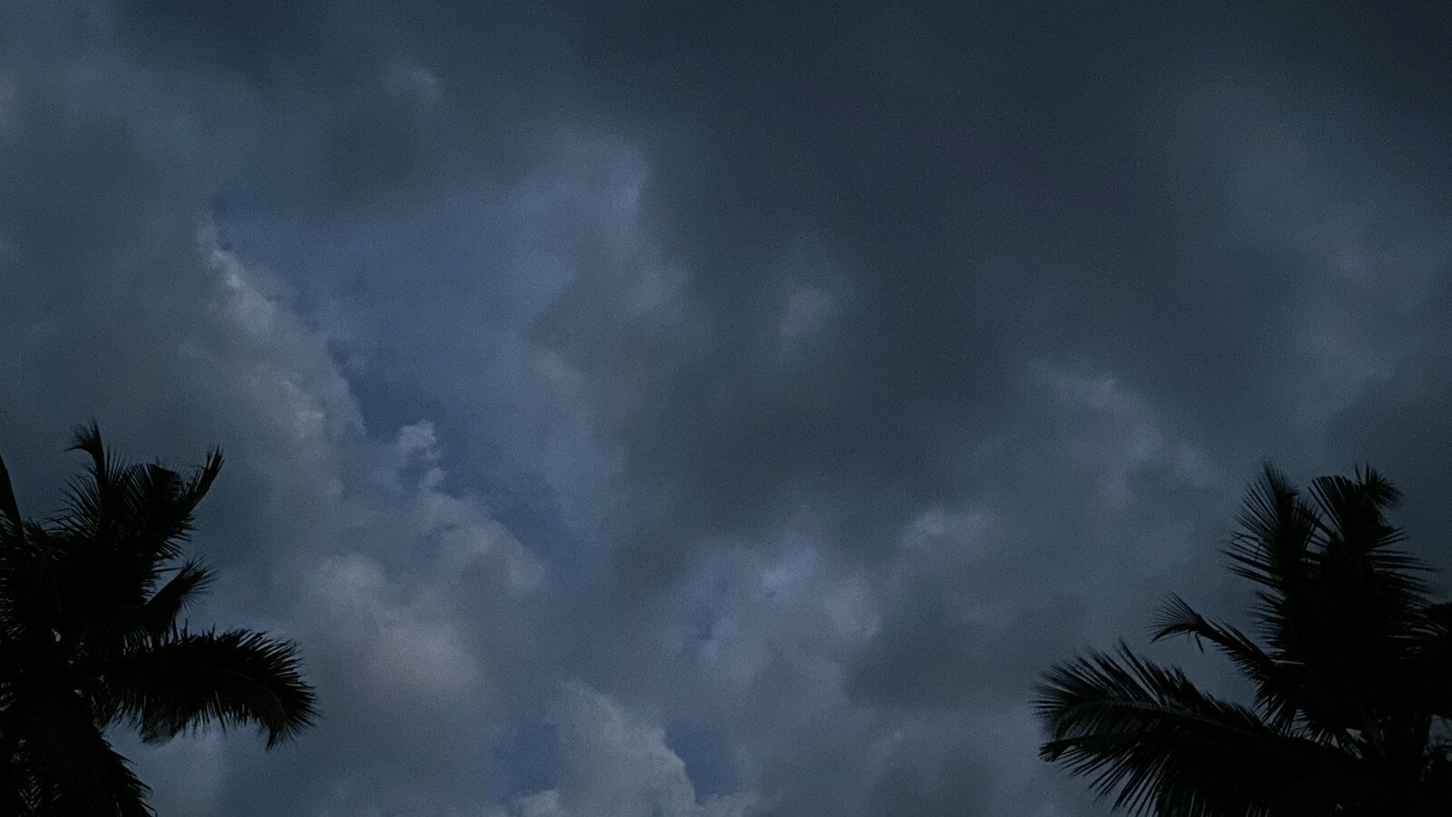 Hurricane Season on the Gulf Coast: What to Actually Expect
