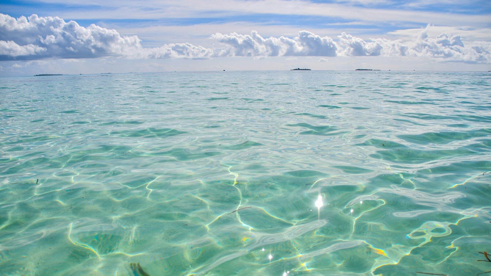 Kayaking and Paddleboarding Around Sarasota Bay