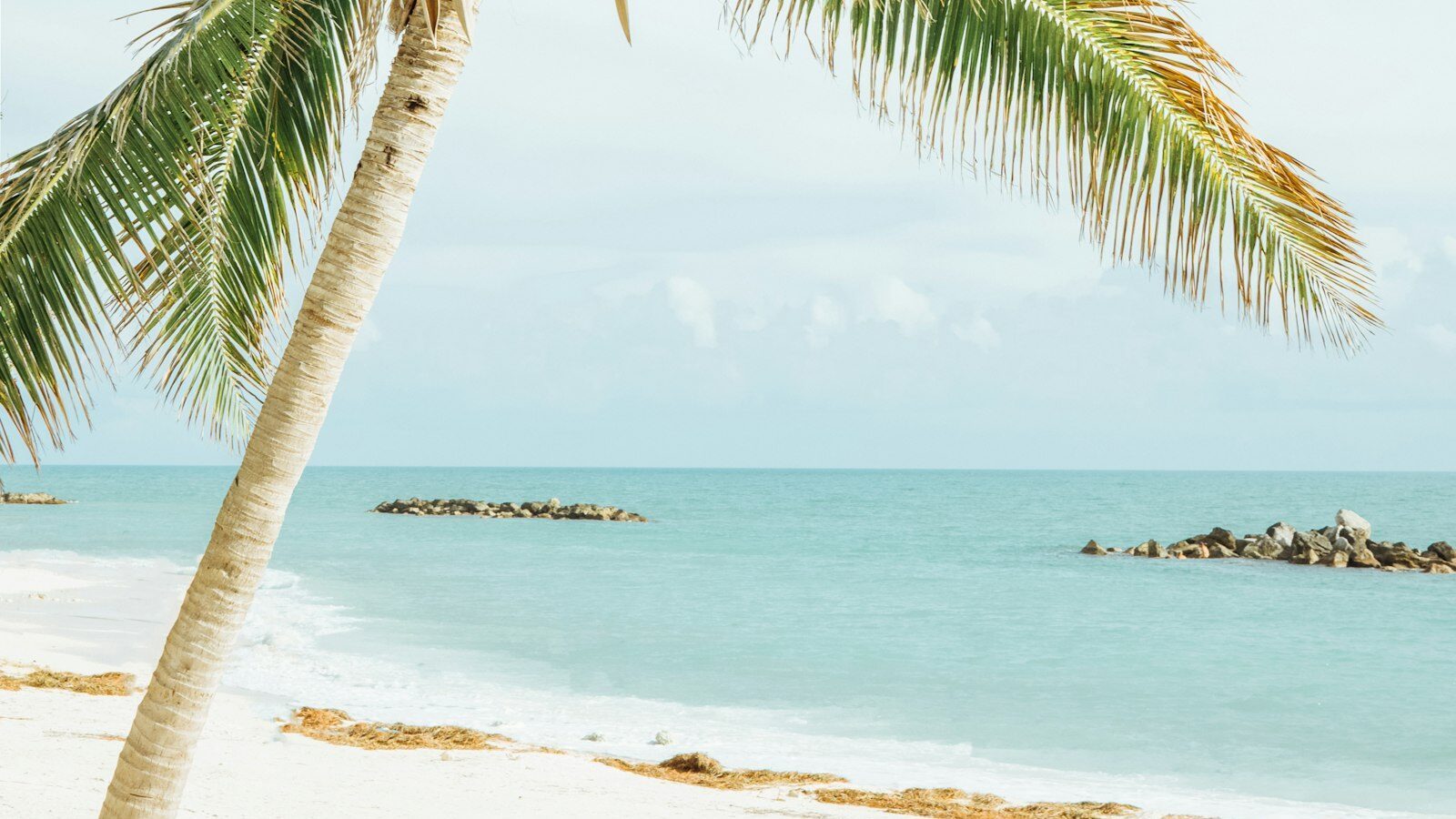 Moving to Sarasota from the Midwest: What to Expect