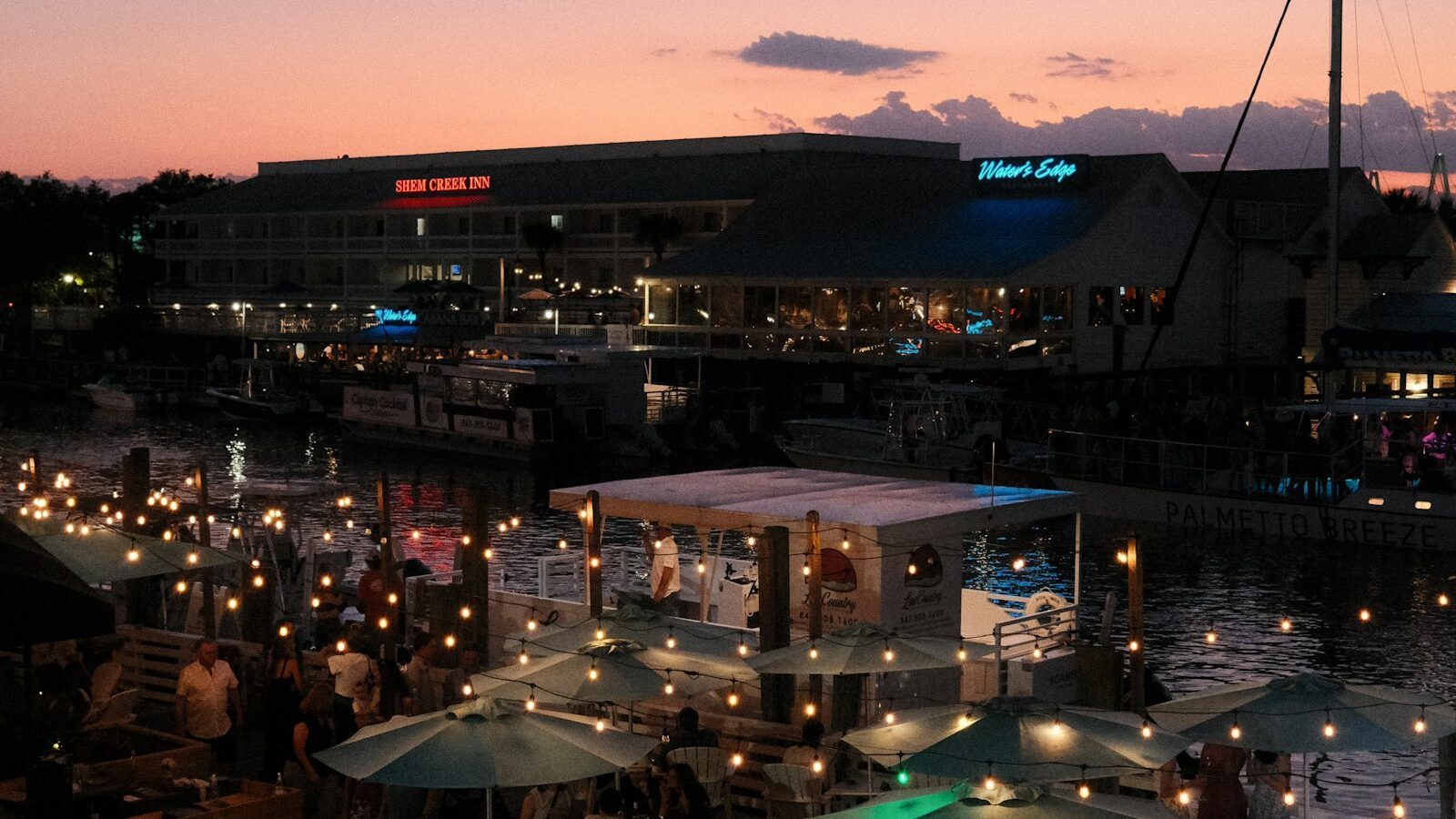 Live Music and Nightlife in the Sarasota Area