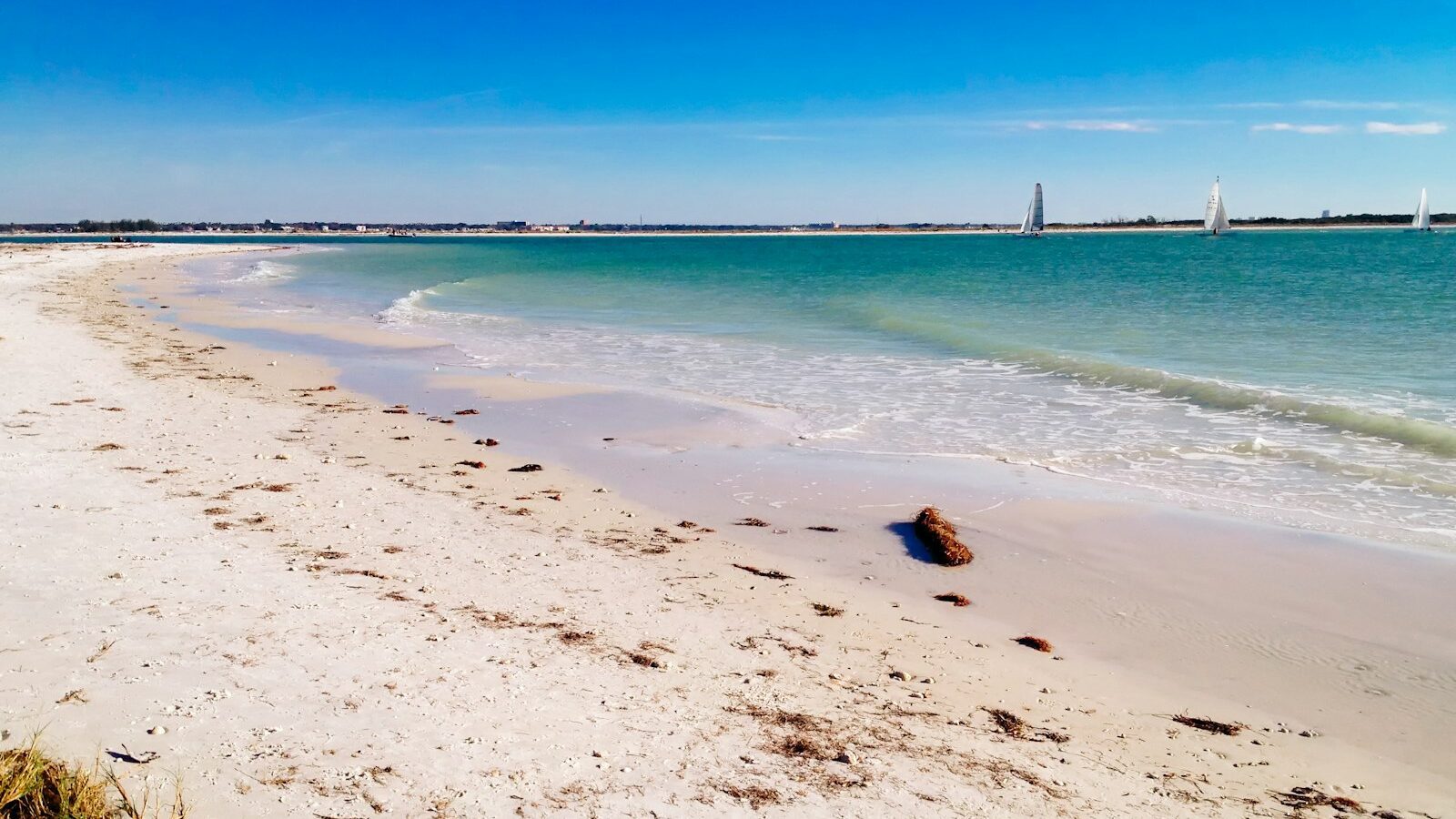 Nokomis, Osprey, and Casey Key: Quiet Coastal Living