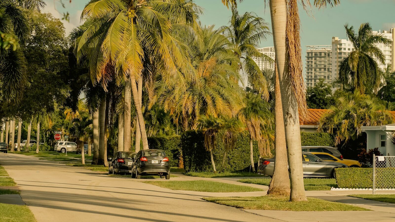 Moving to Palmer Ranch, Sarasota: A Relocation Guide