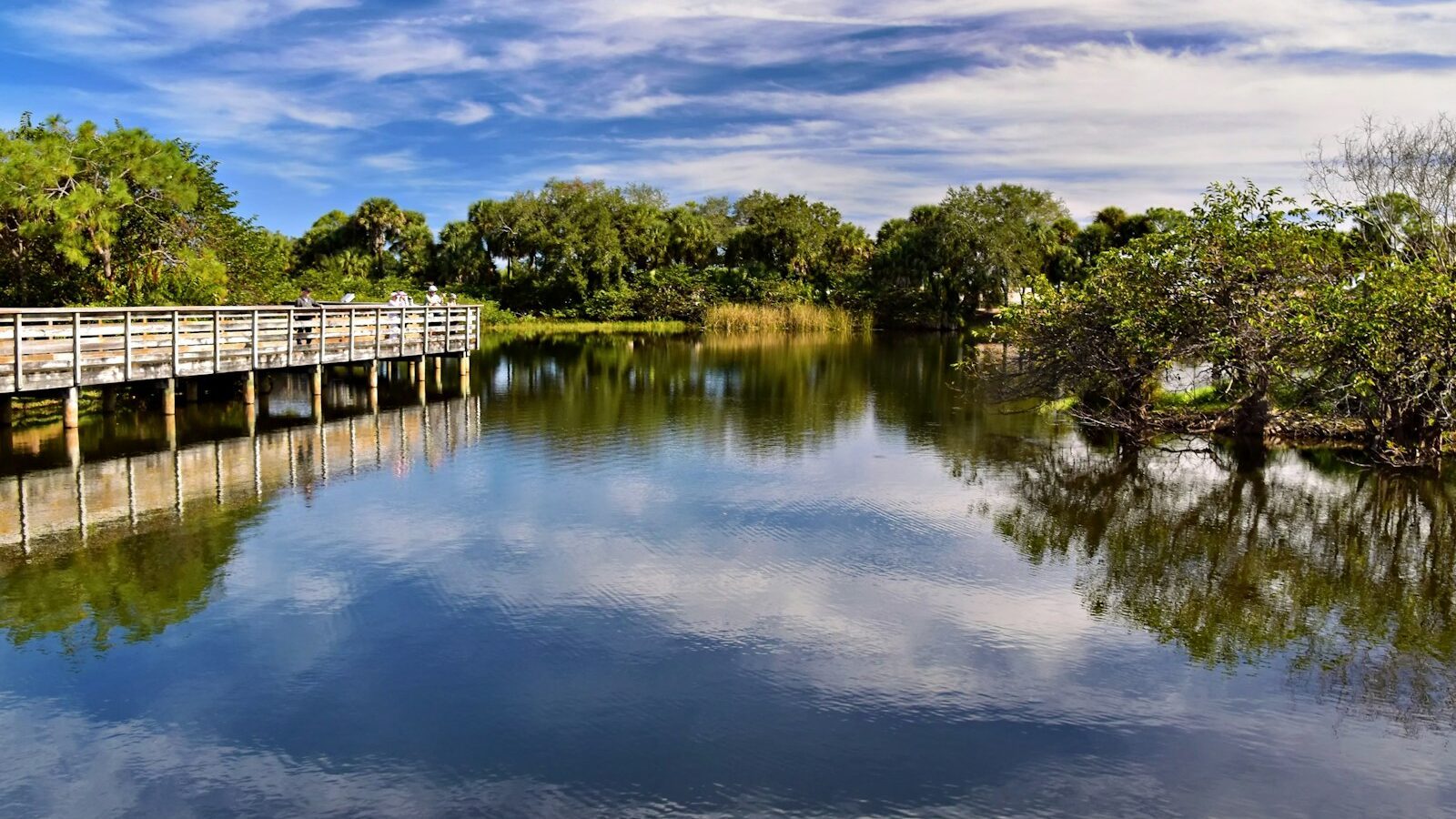 Parks, Trails, and the Great Outdoors in the Sarasota Area