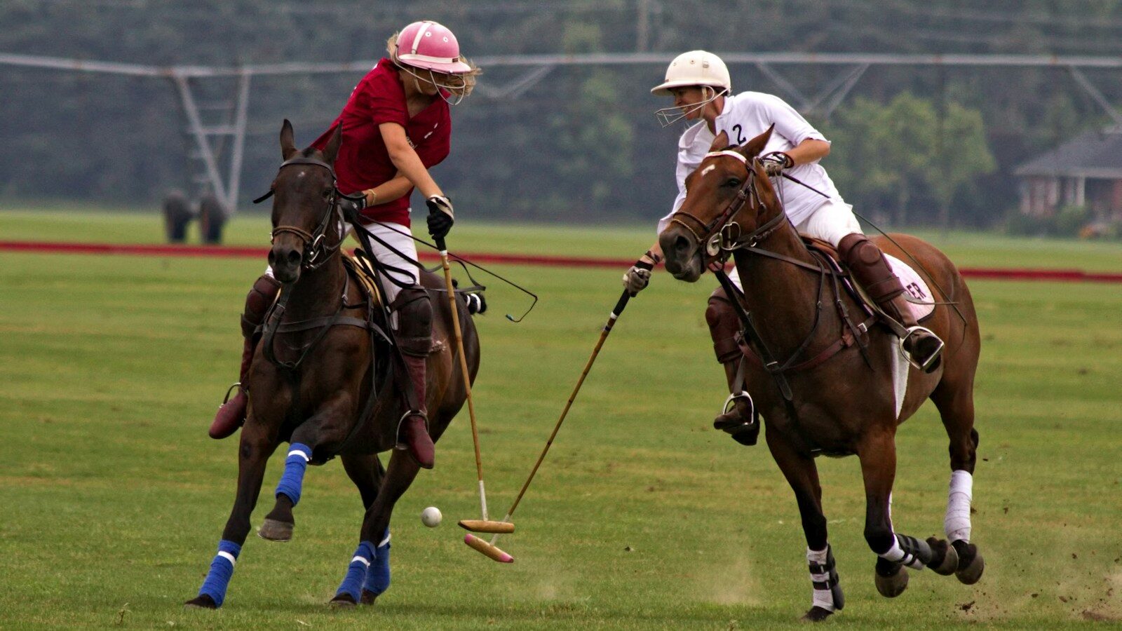 Polo Sundays and the Equestrian Side of Lakewood Ranch