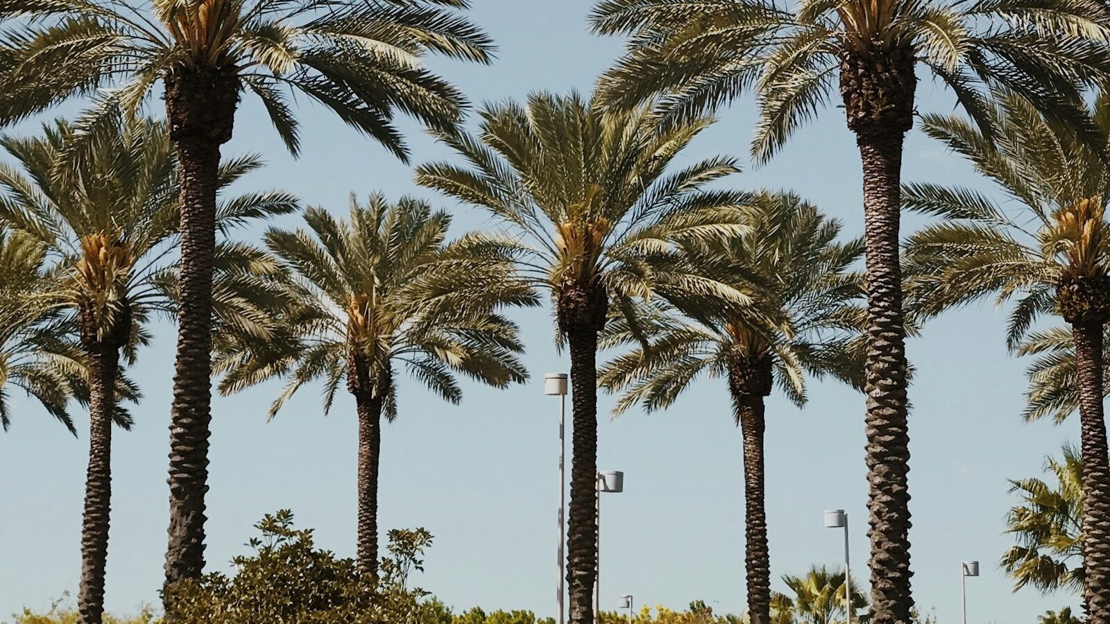 The Pros and Cons of Moving to Florida