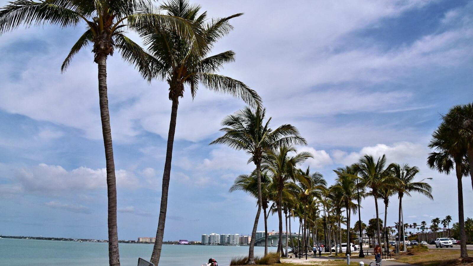 Sarasota vs. Fort Myers: Which Gulf Coast City Fits You?