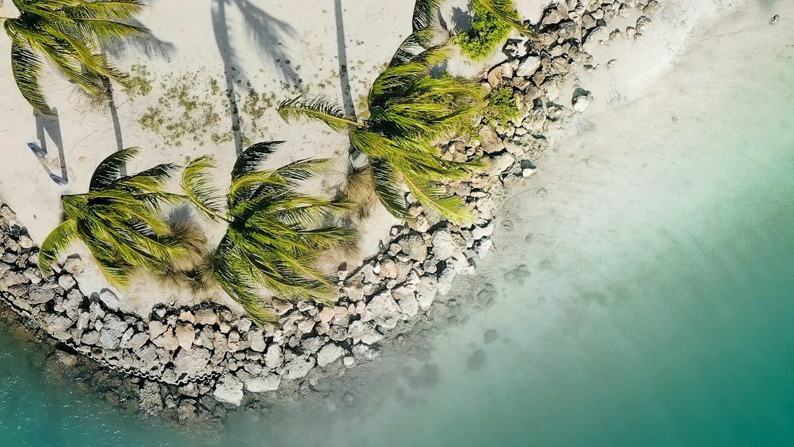 Siesta Key vs. Lido Key: Which Sarasota Island Fits You?