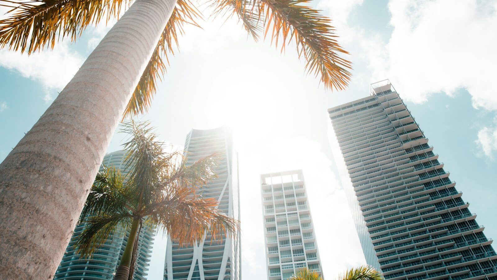 Condo or House for a Sarasota Short-Term Rental?