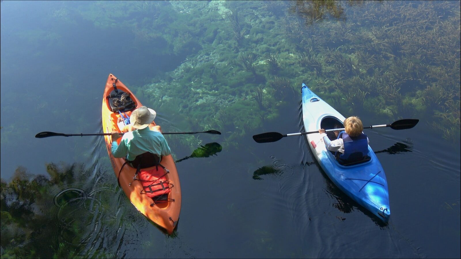 Things to Do in the Sarasota Area: A Newcomer's Starter List