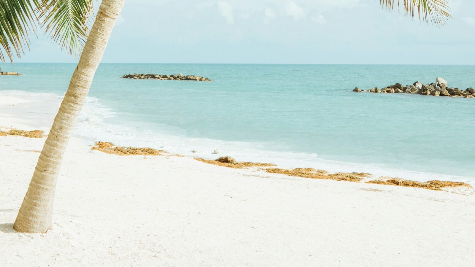 Moving to Venice, Florida: A Relocation Guide