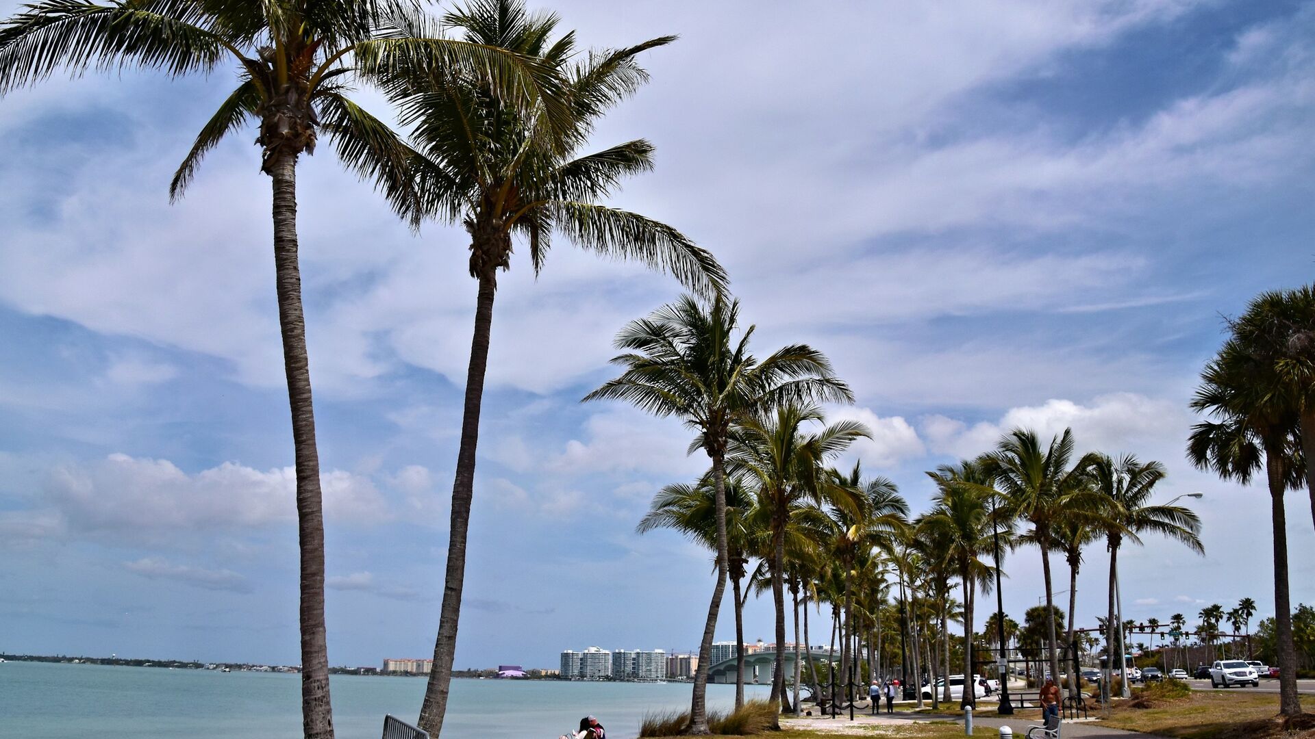 Sarasota Weather and Seasons: What Year-Round Living Is Really Like