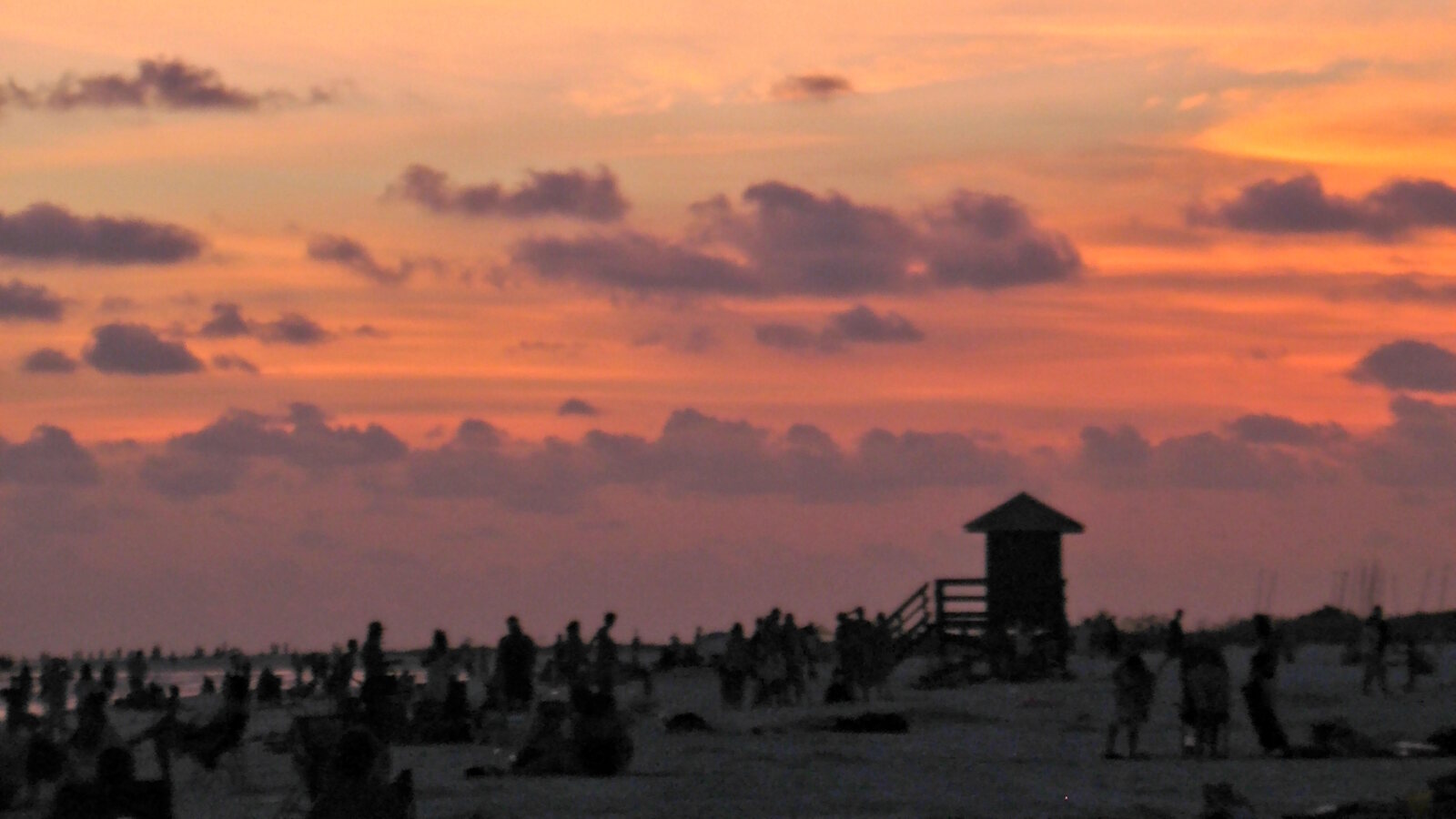 Siesta Key vs. Lido Key: Which Sarasota Island Fits You?