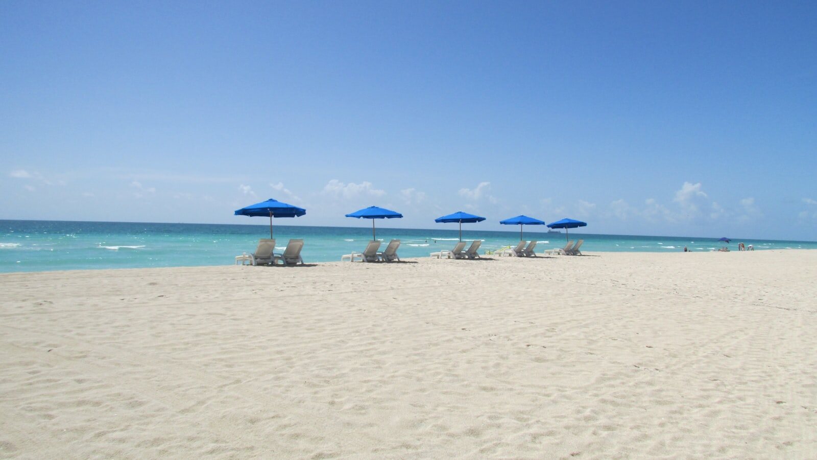 A sunny Gulf Coast beach with umbrellas near Sarasota